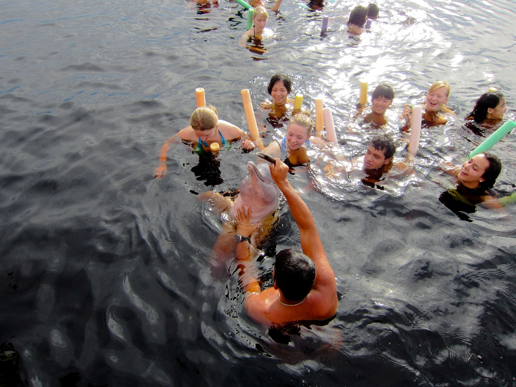 pink river dolphins