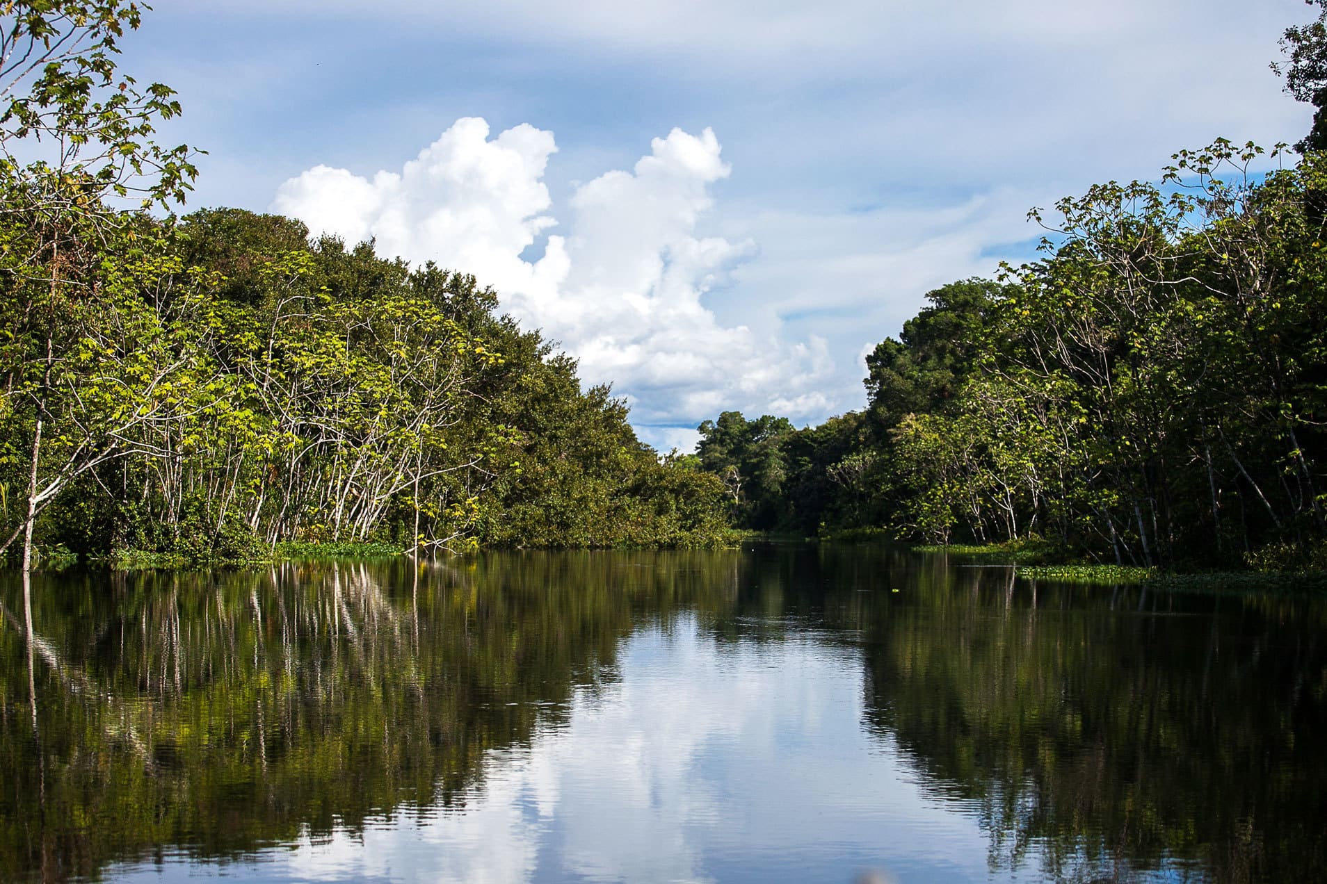 The Luxury Amazon River Cruises