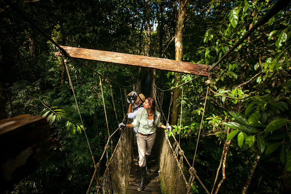 Discover your dream Amazon vacations