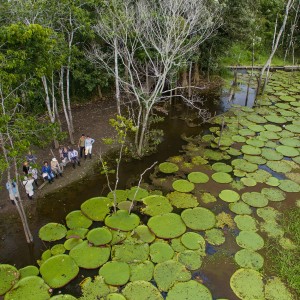 Amazon River