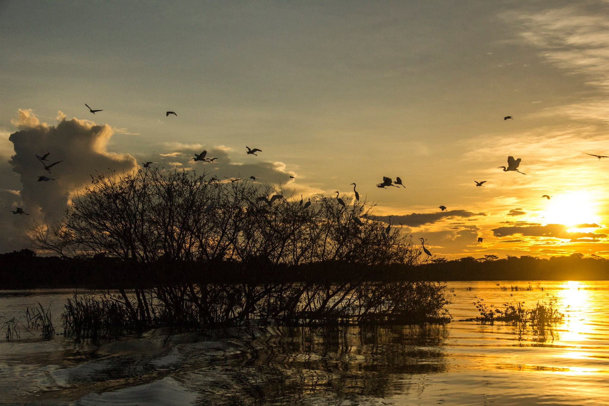 Cruising the Amazon River 