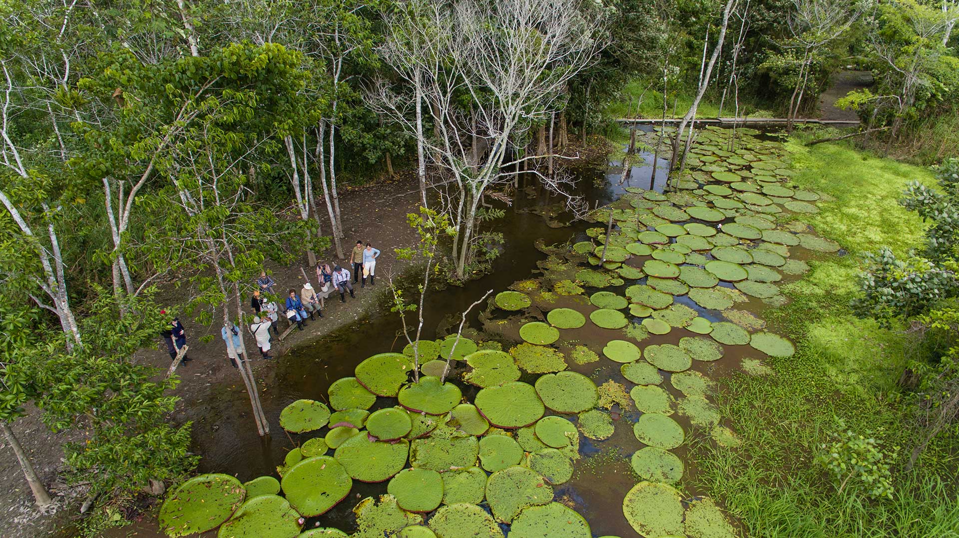 Things to See and Do in Iquitos, Gateway to the Peruvian Amazon